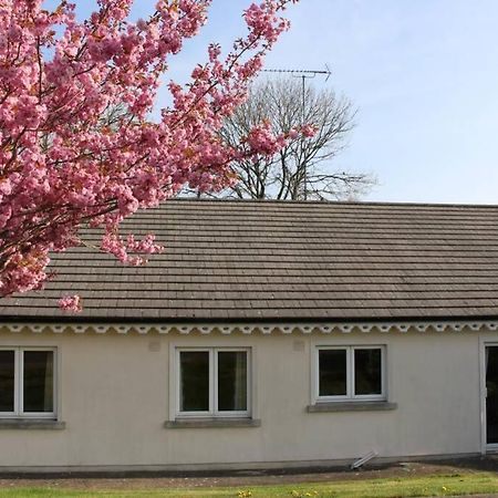 Sunny Bungalow Courtown Exterior foto