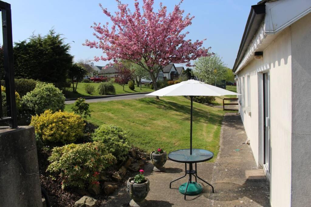 Sunny Bungalow Courtown Exterior foto